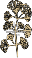 Ginkgo Bronzo